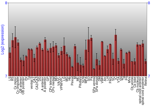 Expression graph