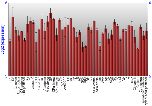 Multi-state expression graph