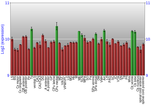 Multi-state expression graph