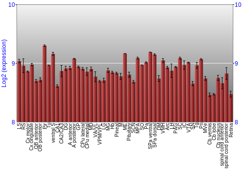 Expression graph