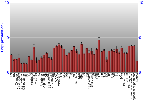 Expression graph