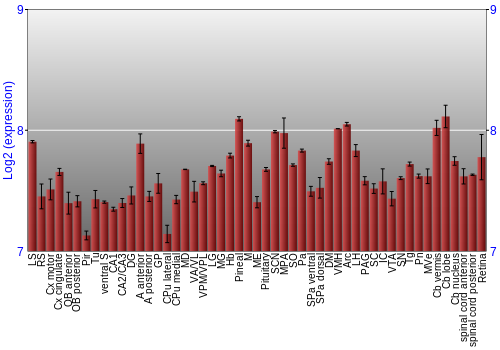 Expression graph