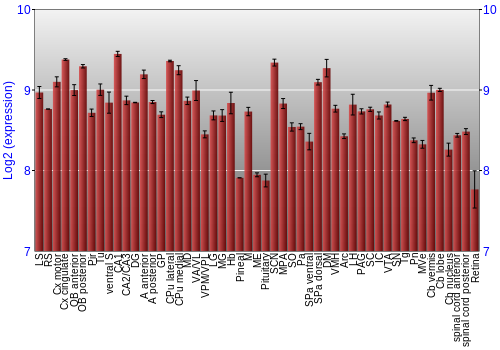 Expression graph