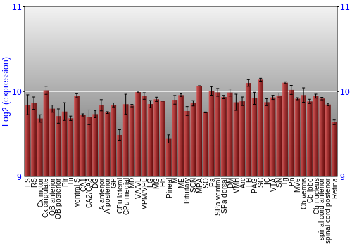 Expression graph