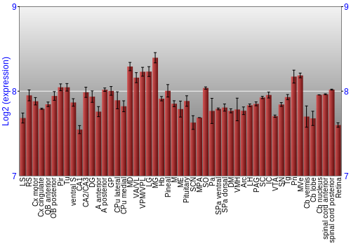 Expression graph