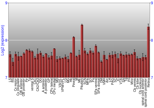 Expression graph