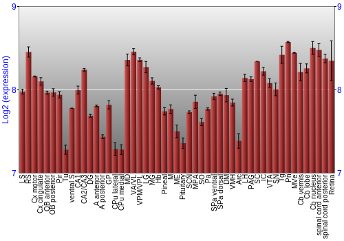 Expression graph