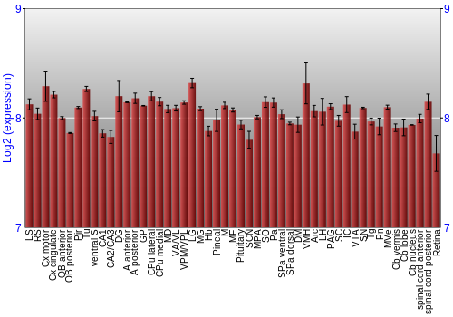 Expression graph