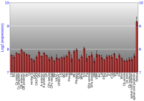 Expression graph