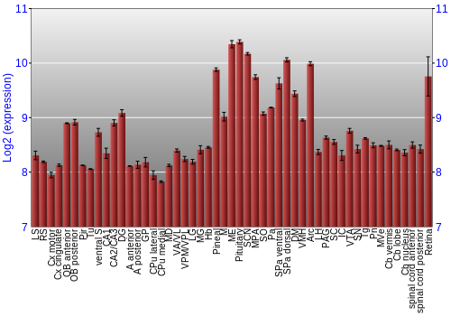 Expression graph