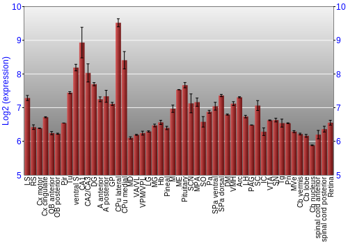 Expression graph