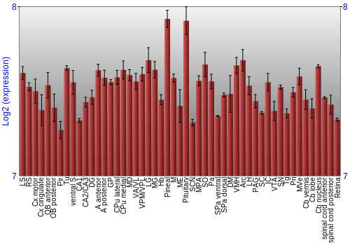 Expression graph