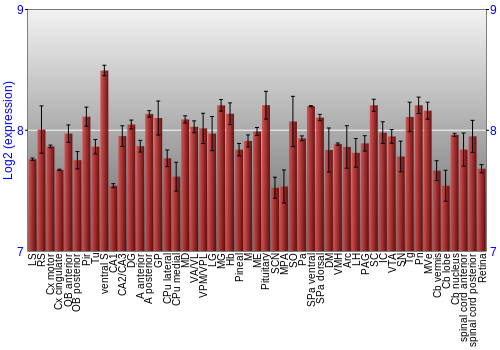 Expression graph