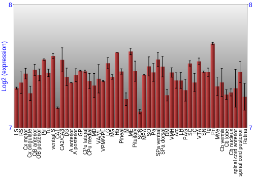 Expression graph