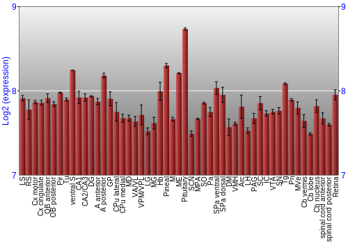 Expression graph