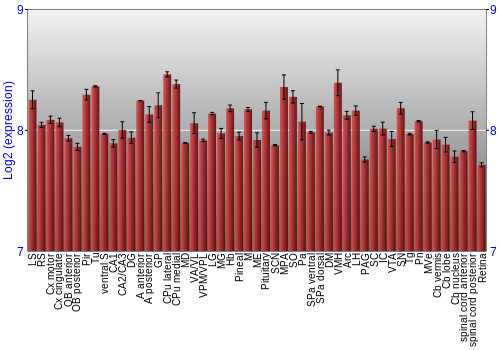 Expression graph