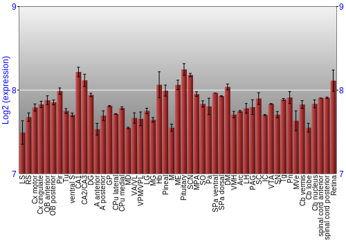 Expression graph