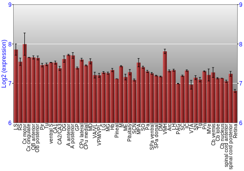 Expression graph