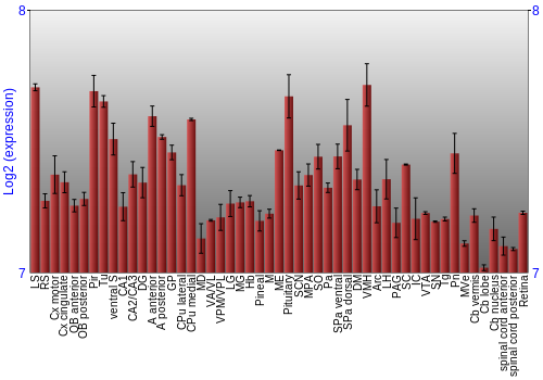 Expression graph