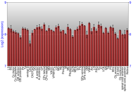 Expression graph
