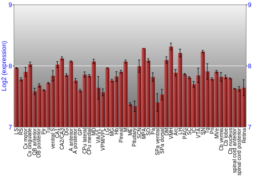 Expression graph