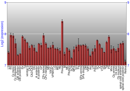 Expression graph