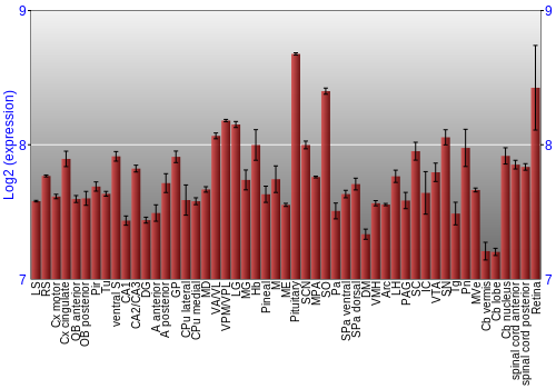 Expression graph