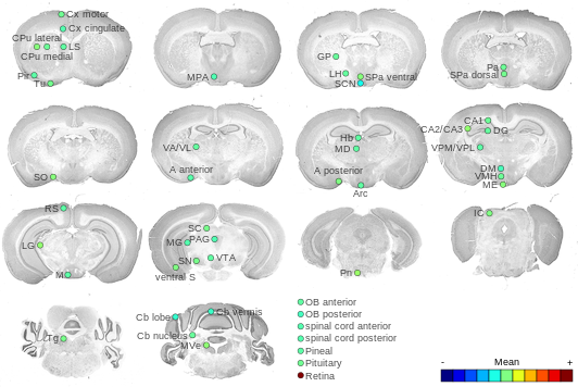 Expression map