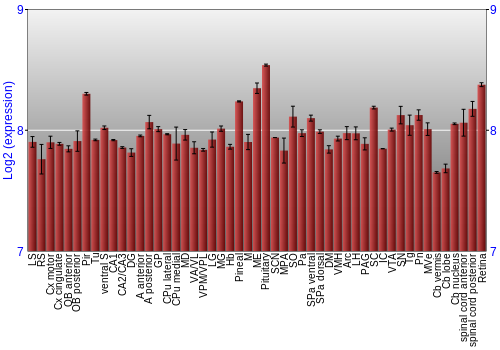 Expression graph