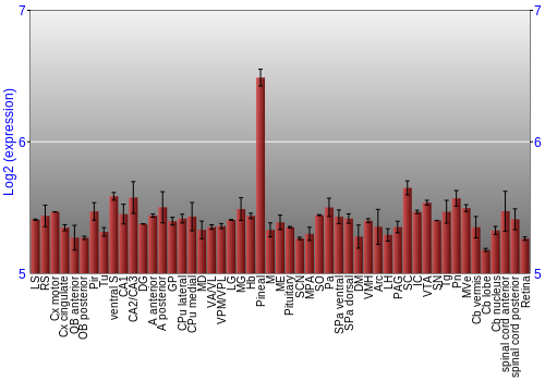 Expression graph
