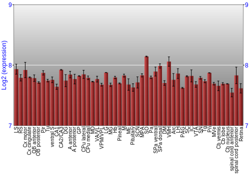 Expression graph