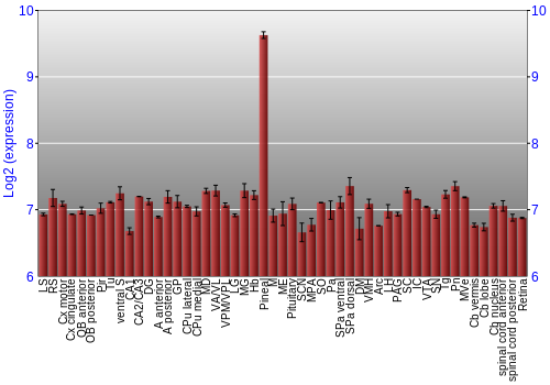 Expression graph