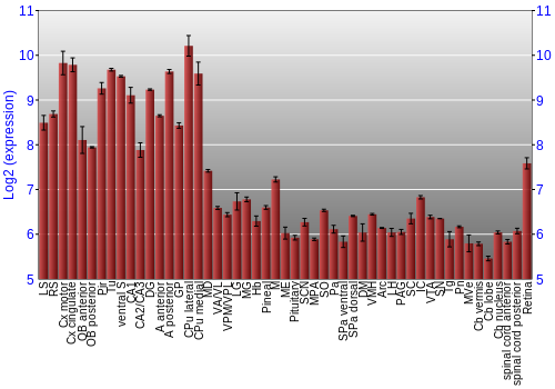 Expression graph