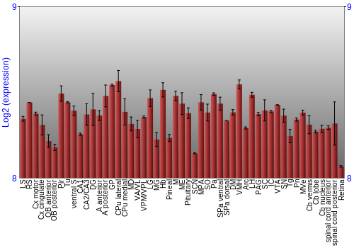 Expression graph