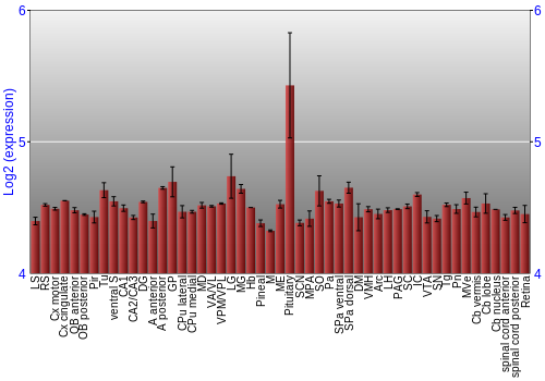 Expression graph