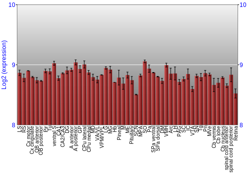 Expression graph