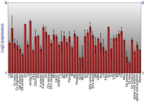 Expression graph
