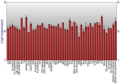 Multi-state expression graph