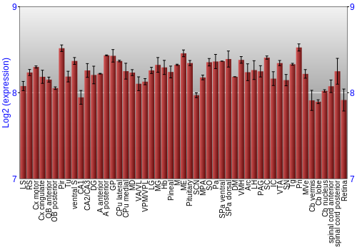 Expression graph