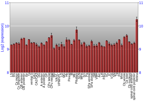 Expression graph