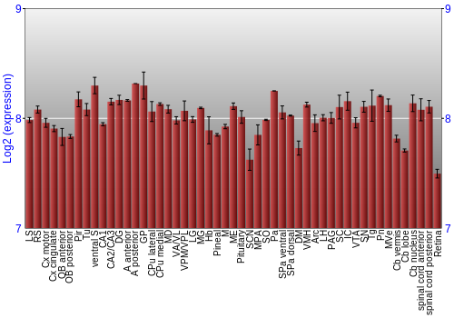 Expression graph