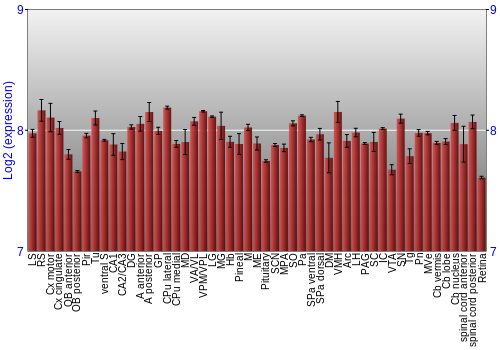 Expression graph