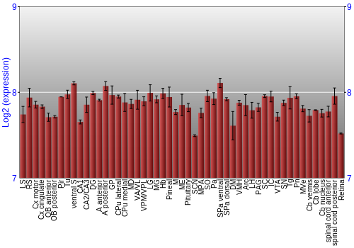 Expression graph