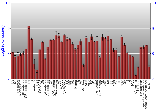 Expression graph