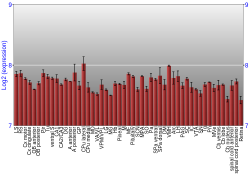 Expression graph