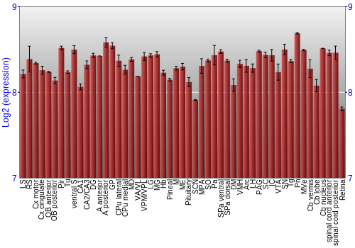 Expression graph