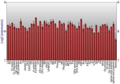 Expression graph