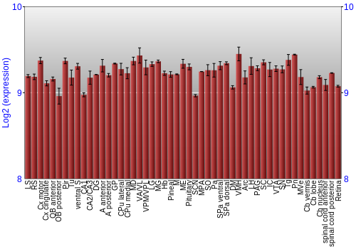 Expression graph