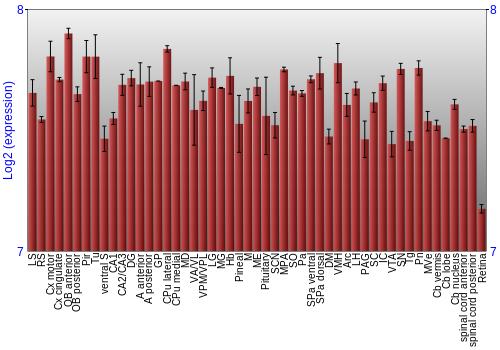 Expression graph