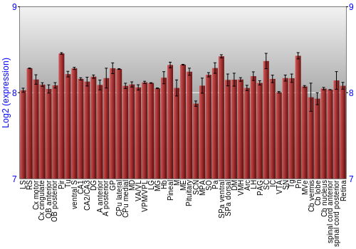 Expression graph